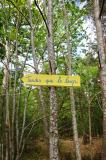 Promenons nous dans les bois 54 * 5184 x 3456 * (11.53MB)
